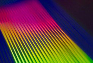 main Sodo